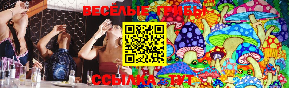 Галлюциногенные грибы прущие грибы Волгоград